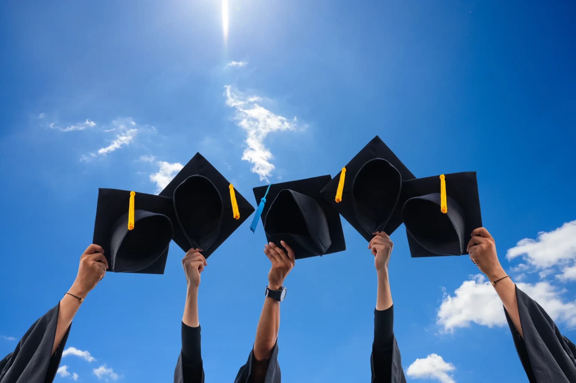 Efektivitas Metode Wall Street English: Bukti Nyata dari Ribuan Alumni Sukses