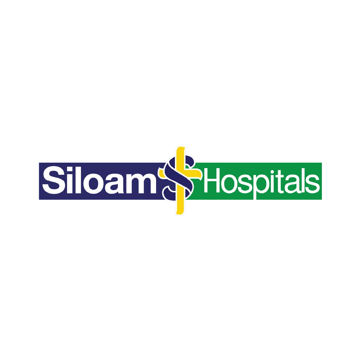 1-1-siloam