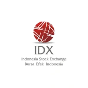 idx logo